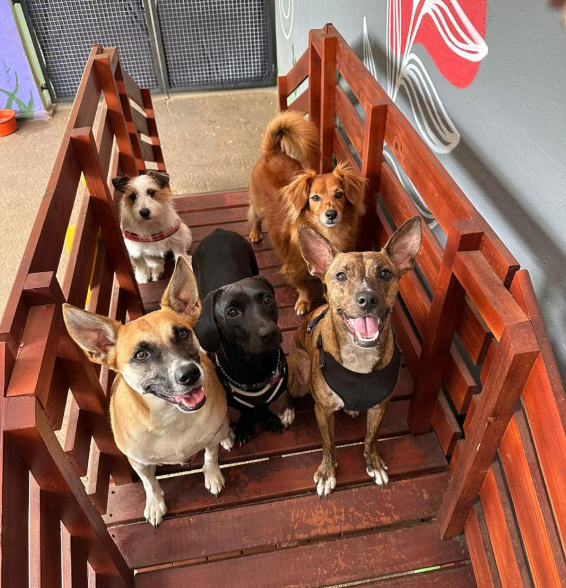 Day Care